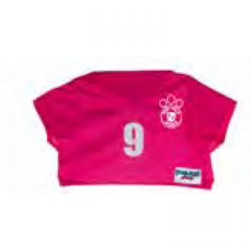 Soccer Pink Jersey