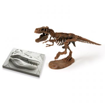 Discover T-Rex Skeleton