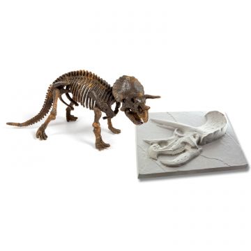 Discover Triceratops Skeleton